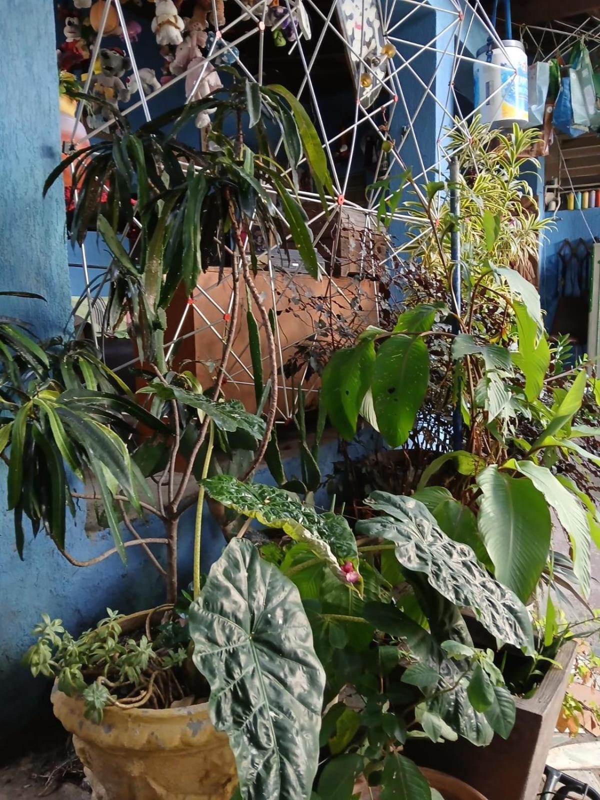 Hostel London Belo Horizonte Zewnętrze zdjęcie